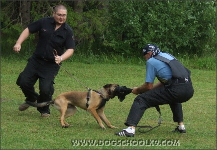 Summer training camp in Estonia 2007